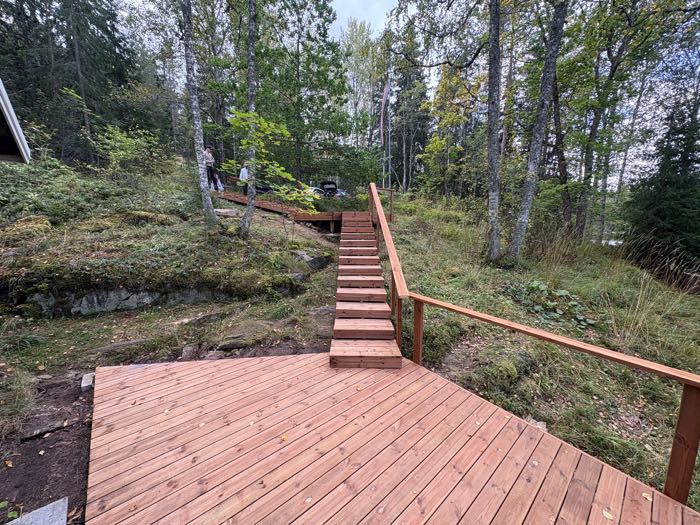 Puuportaat metsäisessä rinteessä